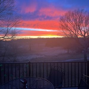 Meet your Posher, Joann